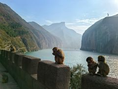 -白帝城·瞿塘峡景区