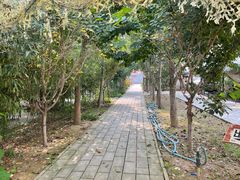 -草根堂农场