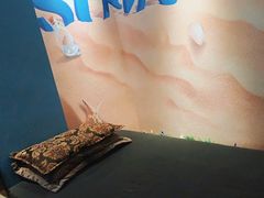 -猴满足影院足道SPA(金钟路店)