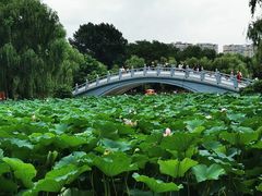 -二一九公园