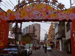 -溪岸路花鸟市场