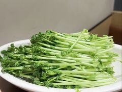-好彩猪肚鸡(正弘城店)