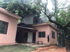 -彩虹桥宠物火化殡葬善终服务(金乐大厦店)