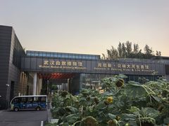 -武汉园博园(武汉自然博物馆)