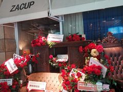 -杂咖zacup(领展中心城店)