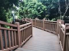 -立新湖公园