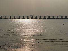 -宝安西湾红树林湿地公园