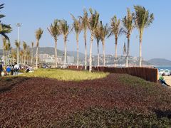 -大梅沙海滨公园