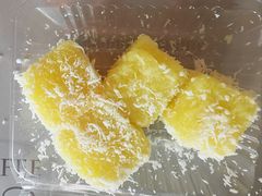 -金珠肉粽