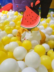 -宝燕乐园(闵行旗舰店)