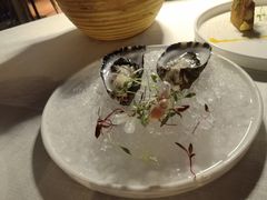 法国吉拉多生蚝-Solo(衡山路店)