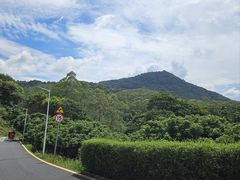 -黄埔油麻山森林公园
