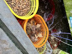 -鸿港海鲜批发市场