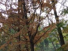 -大连植物园
