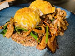 班尼迪克-JamaicaBlue(新城国际店)