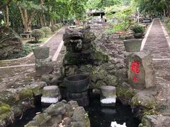 -海口火山口国家地质公园