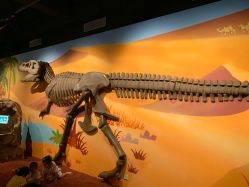 -北京科学中心儿童乐园