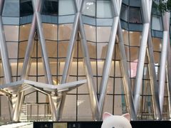 -深圳湾万象城(南山店)