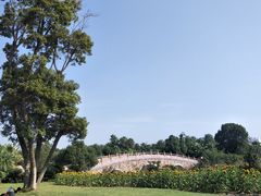 -瑶湖郊野森林公园