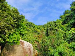 -火炉山森林公园
