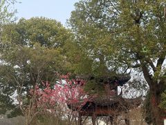 -梁鸿国家湿地公园