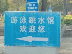 -广西体育中心-游泳馆