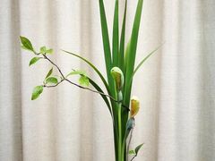-白鹭原茶艺馆