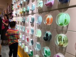 -乐高授权专卖店(朝阳大悦城店)