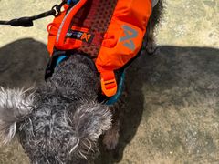 -安吉龙王山峡谷漂流