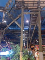 -卡通尼·Safari非洲探索乐园·生日会(金桥国际商业广场店)