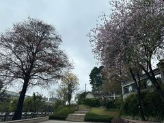 -广州七星岗古海岸遗址科学公园