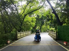 -广州市白云山风景名胜区