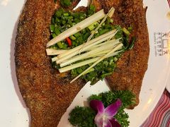 -香巴拉云南餐厅(华莱坞店)