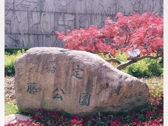 -嘉定紫藤园