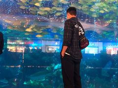 -成都浩海立方海洋公园