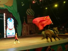 -俄罗斯国家大马戏团