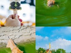 -常州淹城野生动物世界