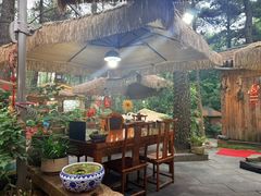 -小小饭店·休闲农庄·安吉松树林里的农家菜