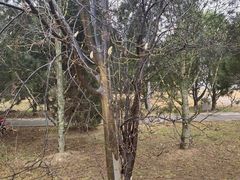 -秦始皇帝陵博物院-丽山园