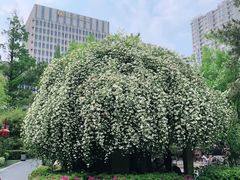 -郑和公园