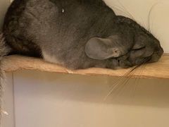 -龙猫仔乐园(惠福东路店)