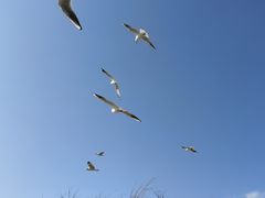-捞渔河湿地公园