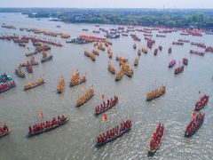 -溱湖国家湿地公园