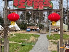 -前小桔亲子创意农场·草莓采摘·露营烧烤