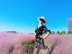 -映月湖中央公园