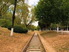 -永定河休闲森林公园