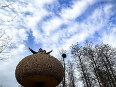 -东湖落雁景区