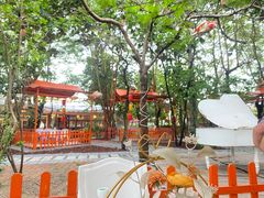 -陶缘一号·四季缘·老字号顺德菜·户外婚礼家宴(西滘店)