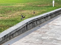 -三亚海棠湾万丽度假酒店