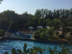 -上海东方佘山翰悦阁酒店·Vie全日制餐厅